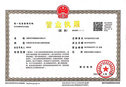 成都九游会营业执照